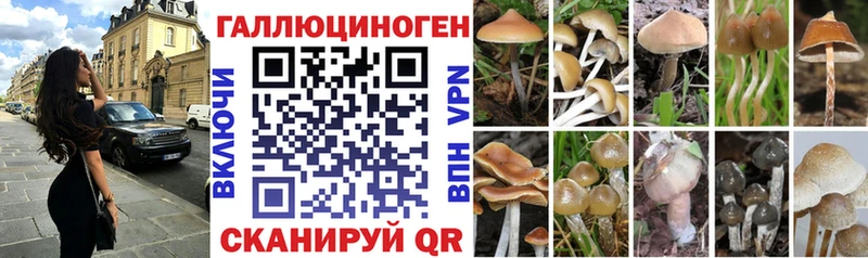 Псилоцибиновые грибы прущие грибы  где купить наркоту  Октябрьский 